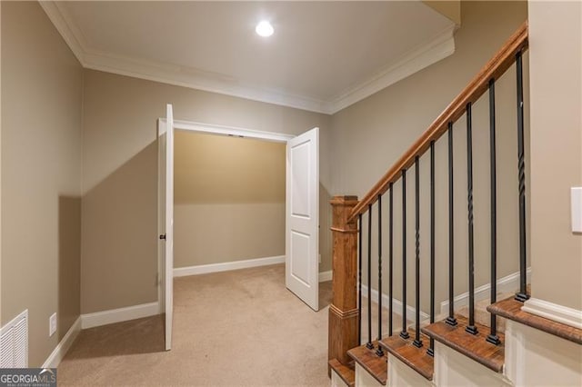 6186 Talmadge Run NW, Acworth, GA 30101 - stairs featuring ornamental molding and carpet floors