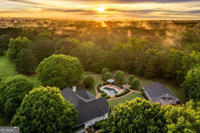 1421 Jack Malcom Rd, Madison, GA 30650 - view of subject property with a pool and a forest