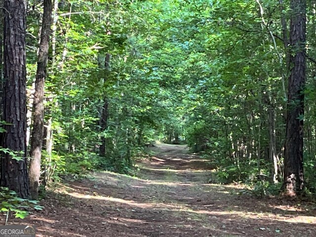 1421 Jack Malcom Rd, Madison, GA 30650 - view of woods