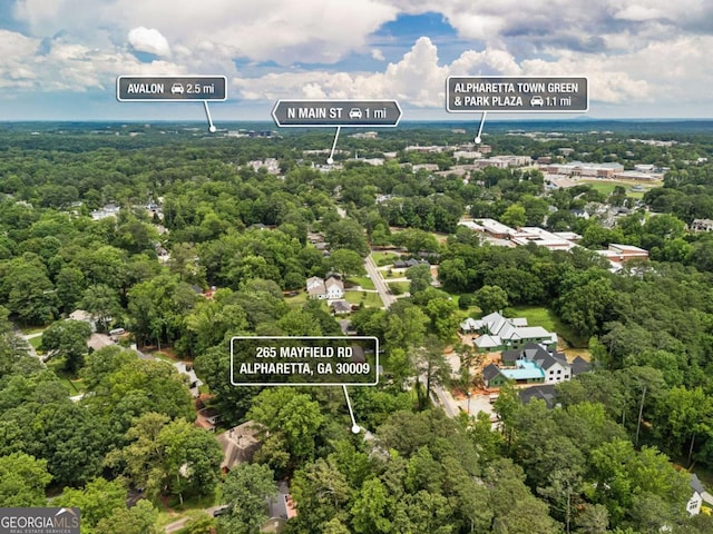 265 Mayfield Rd, Alpharetta, GA 30009 - bird's eye view of a heavily wooded area