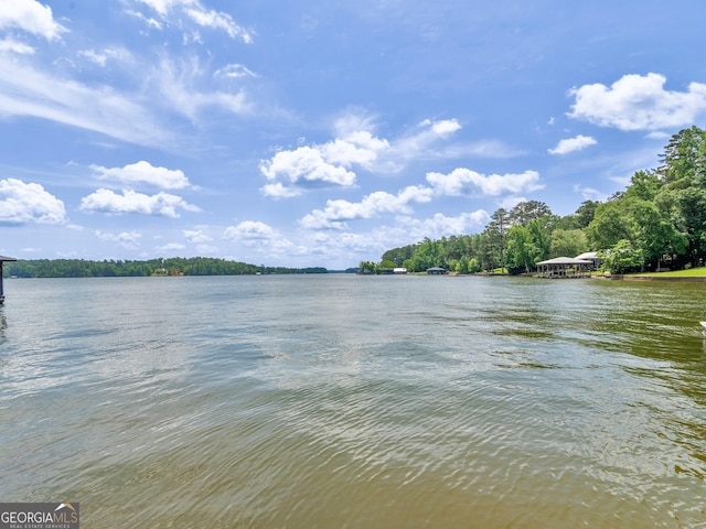 210 Roberts Point Rd, Jackson, GA 30233 - water view