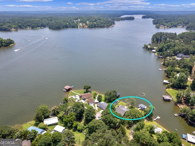 210 Roberts Point Rd, Jackson, GA 30233 - drone / aerial view of a nearby body of water and a forest