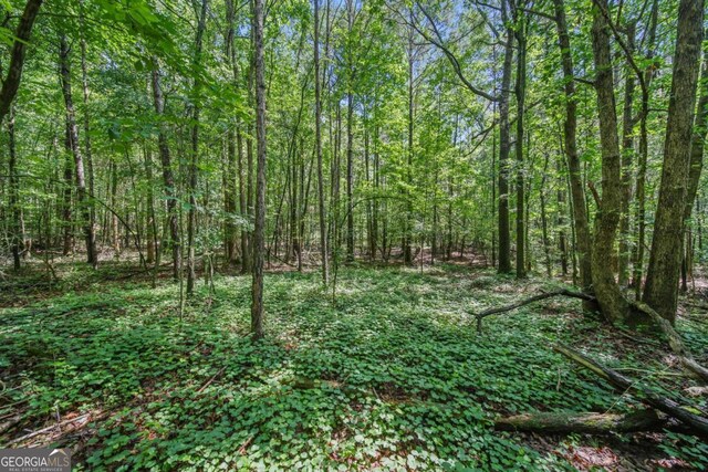 LOT1 Lord Rd, Commerce, GA 30530