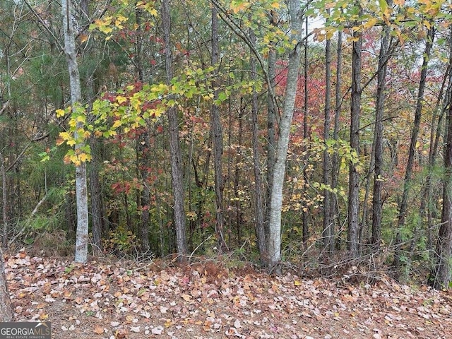 427 Spring Lake Hls, White, GA 30184