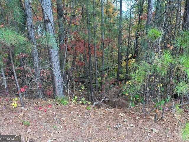 427 Spring Lake Hls, White, GA 30184