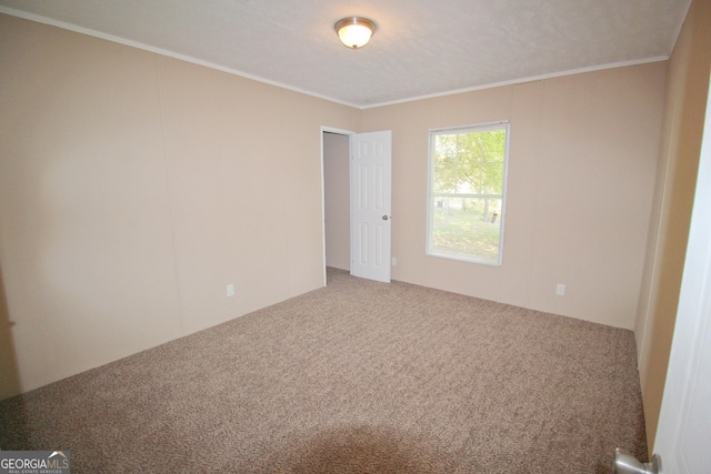 447 Smith Rd, Defuniak Springs, FL 32433 - empty room with carpet floors and ornamental molding