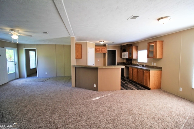 447 Smith Rd, Defuniak Springs, FL 32433 - kitchen featuring white microwave, glass insert cabinets, a peninsula, and dark colored carpet