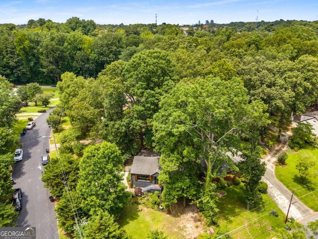 2468 Fallview Ter, Atlanta, GA 30344 - bird's eye view of a forest