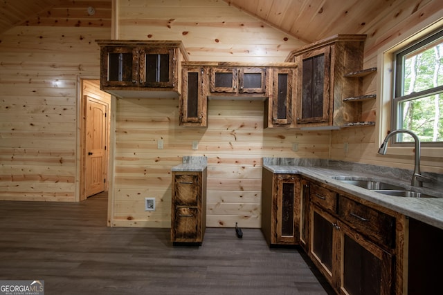 155 Stonecrest Ln, Murphy, NC 28906 - kitchen with lofted ceiling, wooden walls, wooden ceiling, dark wood-style floors, and light countertops