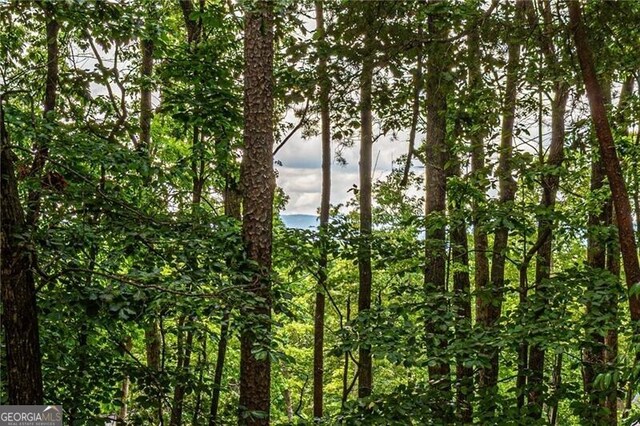 118 High Ridge Ln, Dahlonega, GA 30533 - view of wooded area