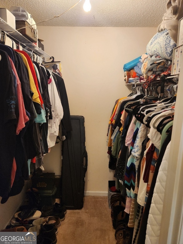 115 Settlers Trl, Warner Robins, GA 31088 - walk in closet featuring carpet flooring