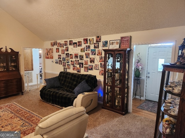 115 Settlers Trl, Warner Robins, GA 31088 - living area with a textured ceiling and lofted ceiling