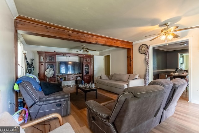 1115 W 51st St, Savannah, GA 31405 - living room with a ceiling fan, light wood-type flooring, and ornamental molding