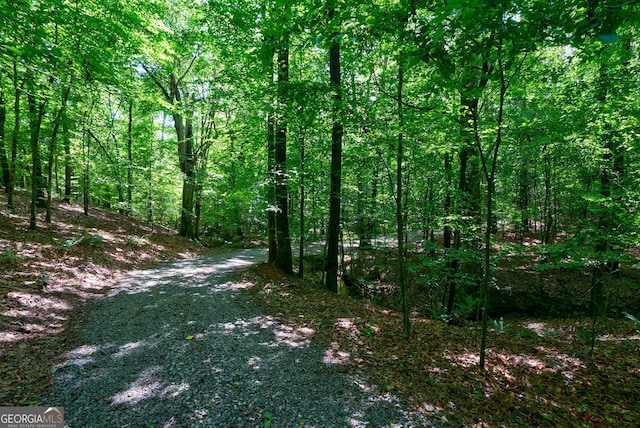 1348 Barwick Hill Rd, Comer, GA 30629