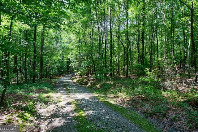1348 Barwick Hill Rd, Comer, GA 30629