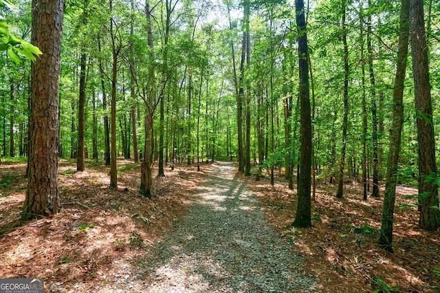 1348 Barwick Hill Rd, Comer, GA 30629