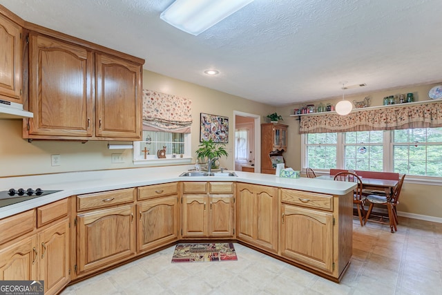 1348 Barwick Hill Rd, Comer, GA 30629