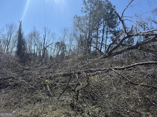 0 Wragler Ln, Hazlehurst, GA 31539