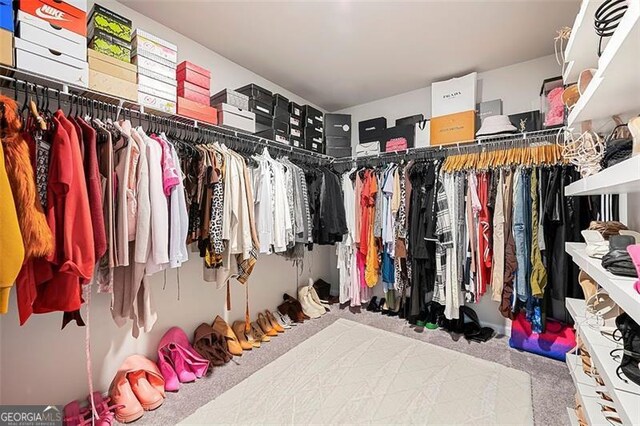 4992 Lower Elm, Atlanta, GA 30349 - spacious closet with carpet