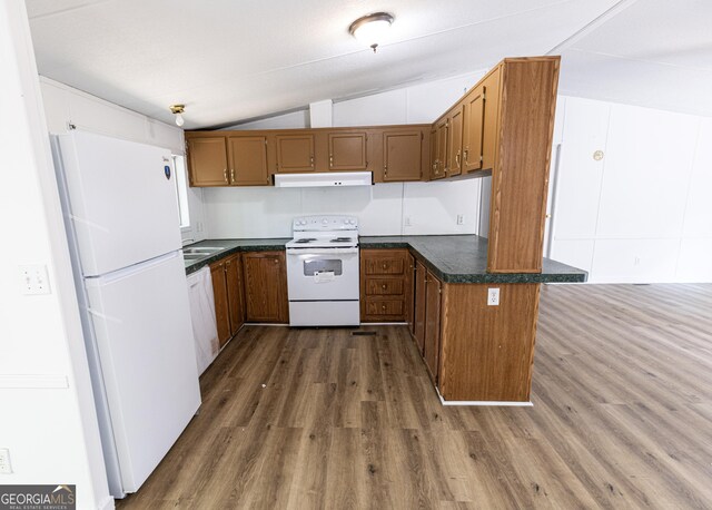 179 Autumnwood Way, Cleveland, GA 30528 - kitchen featuring white appliances, under cabinet range hood, lofted ceiling, dark wood-style floors, and brown cabinetry