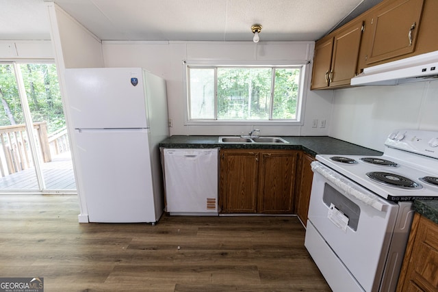 179 Autumnwood Way, Cleveland, GA 30528 - kitchen with white appliances, under cabinet range hood, dark countertops, and plenty of natural light