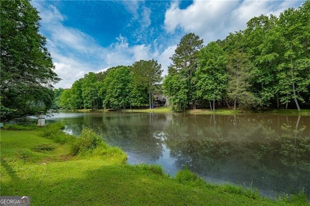660 Glendalough Ct, Alpharetta, GA 30004 - water view featuring a forest