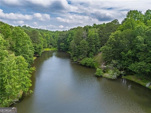660 Glendalough Ct, Alpharetta, GA 30004 - water view featuring a heavily wooded area