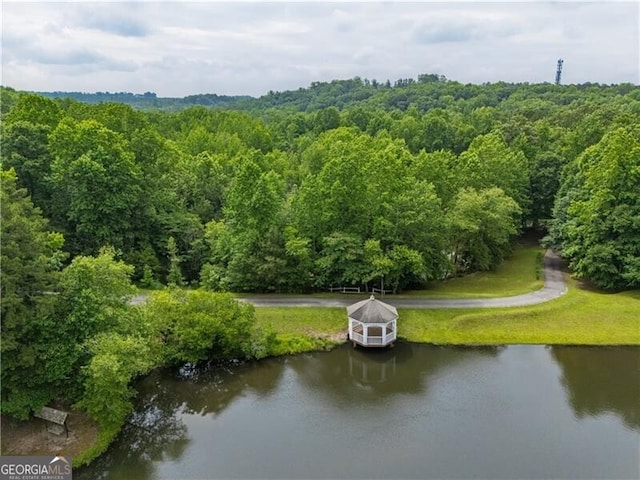 660 Glendalough Ct, Alpharetta, GA 30004 - drone / aerial view of a heavily wooded area and a large body of water