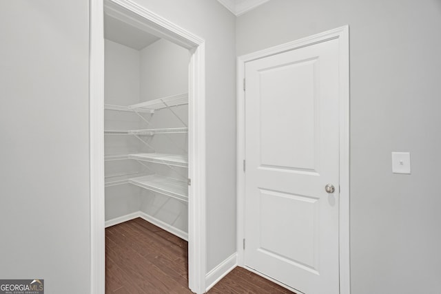 7043 Lancaster Xing, Flowery Branch, GA 30542 - view of pantry