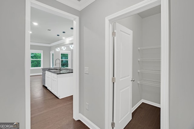 7043 Lancaster Xing, Flowery Branch, GA 30542 - hallway with dark wood-style flooring and crown molding