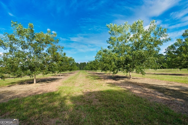 0 Gravel Hill Rd, Baconton, GA 31705