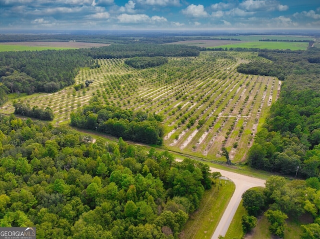 0 Gravel Hill Rd, Baconton, GA 31705