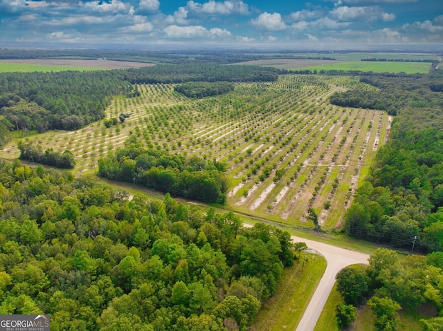 0 Gravel Hill Rd, Baconton, GA 31705