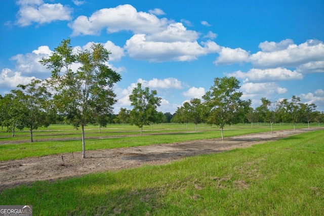 0 Gravel Hill Rd, Baconton, GA 31705