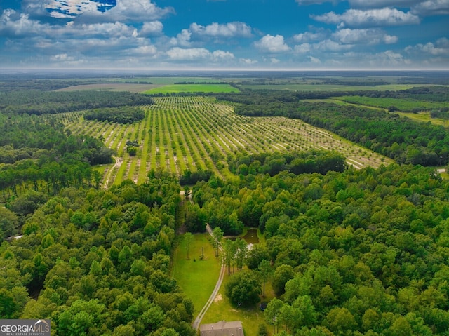 0 Gravel Hill Rd, Baconton, GA 31705