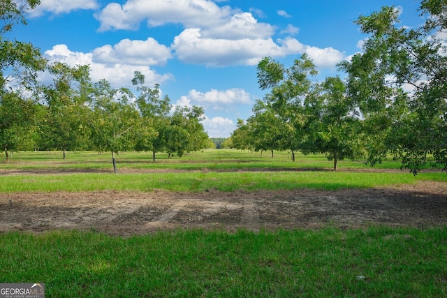 0 Gravel Hill Rd, Baconton, GA 31705