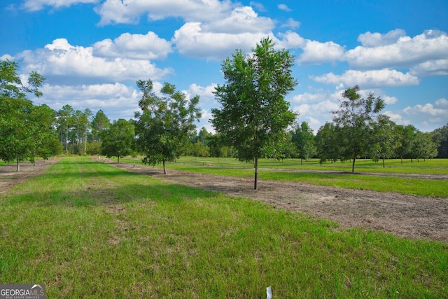 0 Gravel Hill Rd, Baconton, GA 31705
