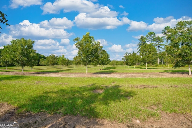 0 Gravel Hill Rd, Baconton, GA 31705
