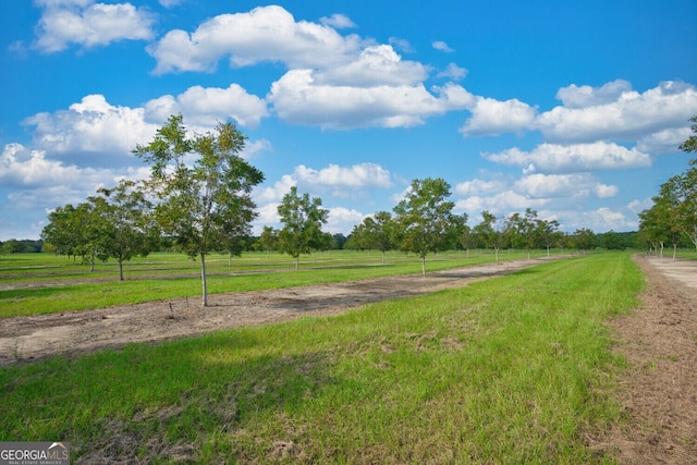 0 Gravel Hill Rd, Baconton, GA 31705