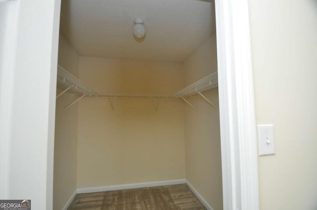 1824 Cedar Shoals Dr, Athens, GA 30605 - walk in closet featuring carpet