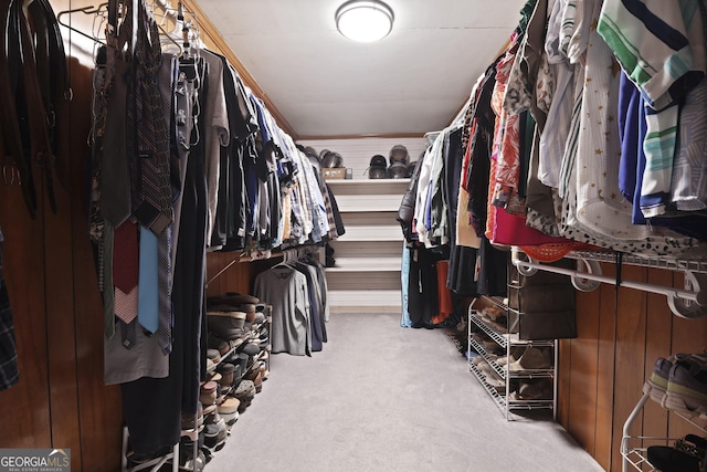 684 Frances Ln, Brooklet, GA 30415 - walk in closet featuring carpet