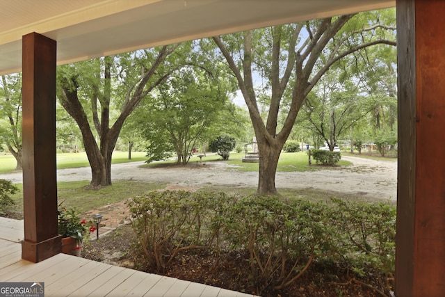 684 Frances Ln, Brooklet, GA 30415 - view of yard