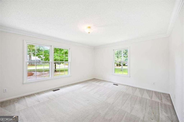 204 Old Oak Rd, Macon, GA 31216 - carpeted spare room with ornamental molding and a textured ceiling