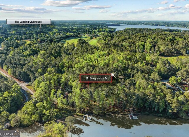 1281 Snug Harbor Dr, Greensboro, GA 30642 - aerial overview of property's location with a large body of water