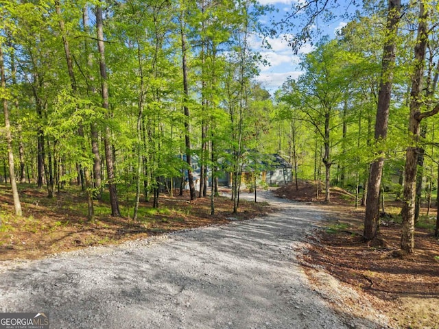 1281 Snug Harbor Dr, Greensboro, GA 30642 - view of dirt / gravel road