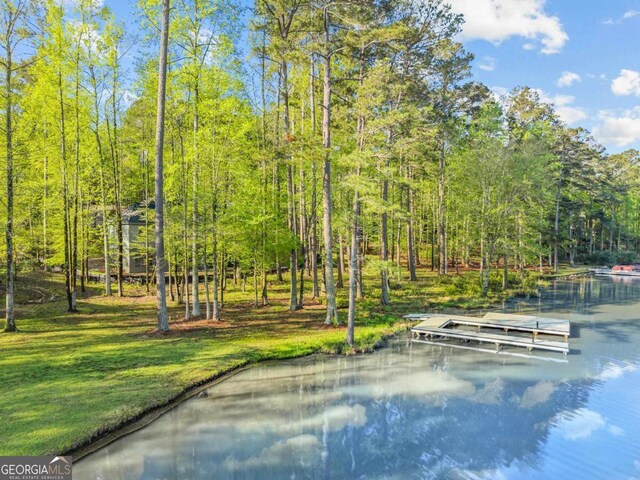 1281 Snug Harbor Dr, Greensboro, GA 30642 - view of home's community with a dock and a wooded view