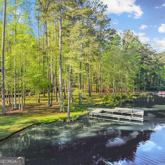 1281 Snug Harbor Dr, Greensboro, GA 30642 - surrounding community with a boat dock