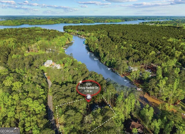1281 Snug Harbor Dr, Greensboro, GA 30642 - view of property location featuring a heavily wooded area and a large body of water