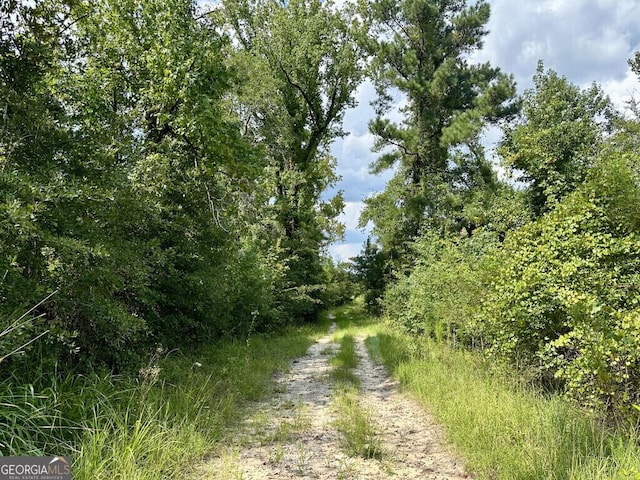 0 Dead River Rd, Glenwood, GA 30428