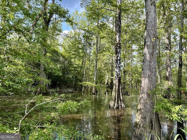 0 Dead River Rd, Glenwood, GA 30428